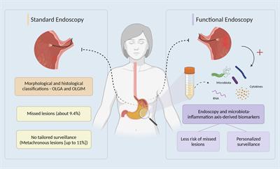 Linking dysbiosis to precancerous stomach through inflammation: Deeper than and beyond imaging